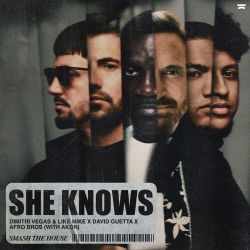 Dimitri Vegas & Like Mike, David Guetta & Afro Bros - She Knows (With Akon) - Single [iTunes Plus AAC M4A]