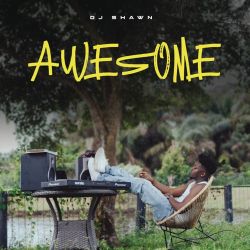 DJ Shawn - AWESOME (EP) [iTunes Plus AAC M4A]