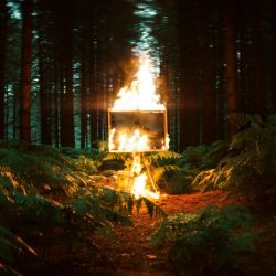 Tom Walker - Burn - Single [iTunes Plus AAC M4A]