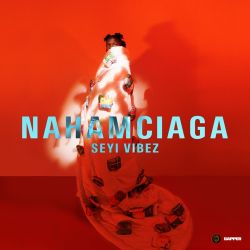 Seyi Vibez - NAHAMciaga - EP [iTunes Plus AAC M4A]