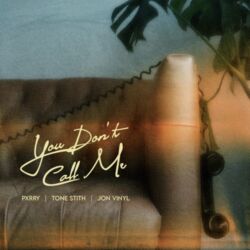 PxRRY, Jon Vinyl & Tone Stith - You Don't Call Me - Single [iTunes Plus AAC M4A]