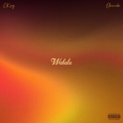 CKay - Wahala (feat. Olamide) - Single [iTunes Plus AAC M4A]