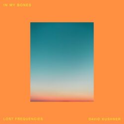 Lost Frequencies & David Kushner - In My Bones - Single [iTunes Plus AAC M4A]