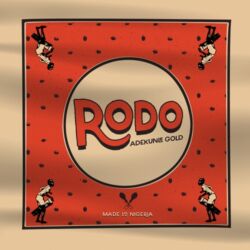 Adekunle Gold - Rodo - Single [iTunes Plus AAC M4A]
