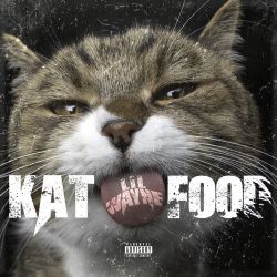 Lil Wayne - Kat Food - Single [iTunes Plus AAC M4A]